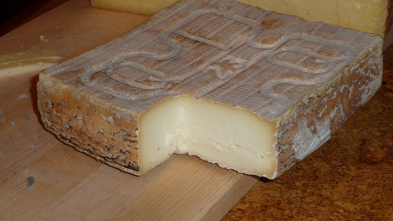 Taleggio cheese