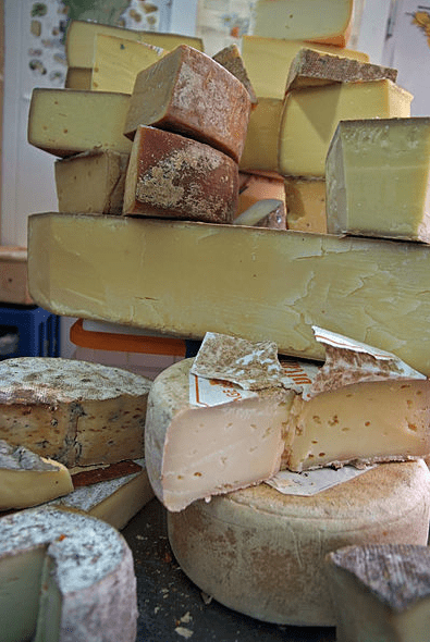 Hartkaese_HardCheeses