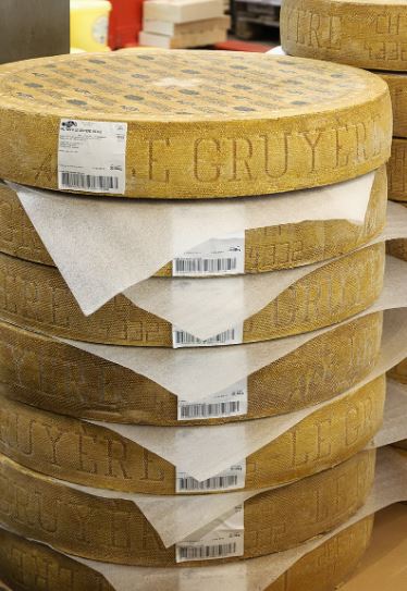 rounds of gruyère cheese on sale in a wholesale food market in France