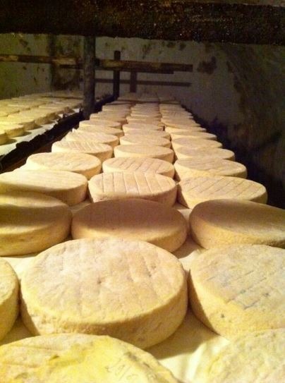 wheels of munster cheese