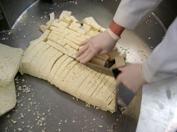 milling of Cheddared curds