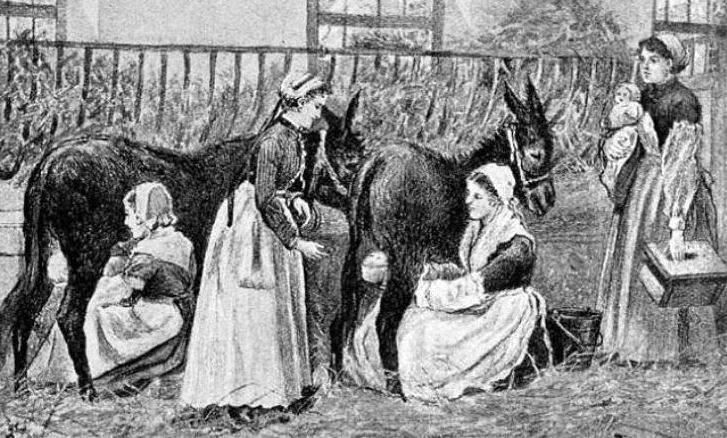 donkeys suckling children in a French institution