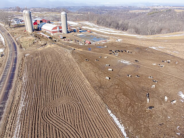 Industrial Evolution