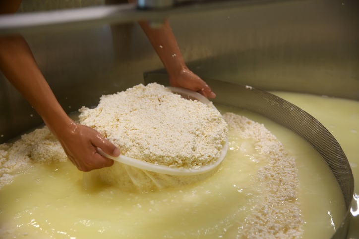 Curd Formation Process