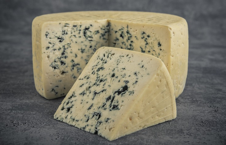 gorgonzola cheese