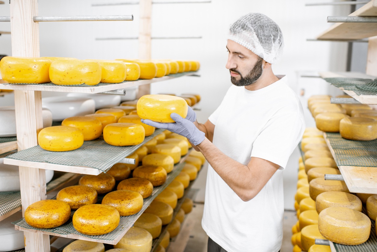 Man with cheese wheels at the storage