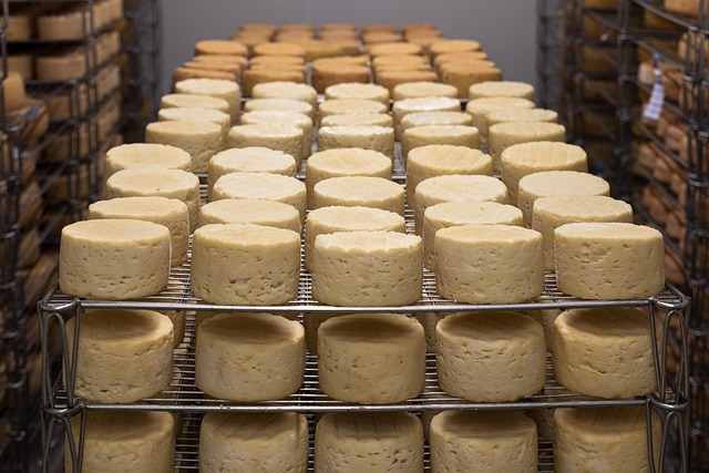 The Science of Cheese Aging