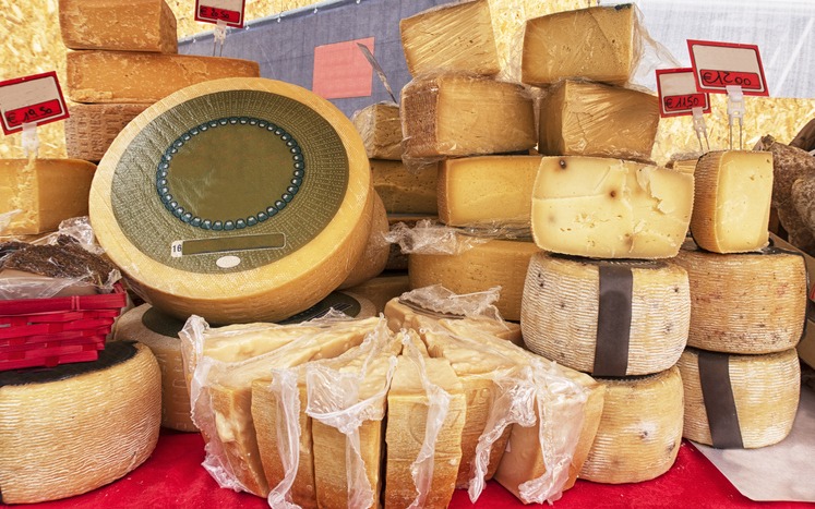 Criticism and Competition