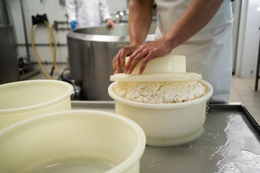 Pressing and Shaping Cheese