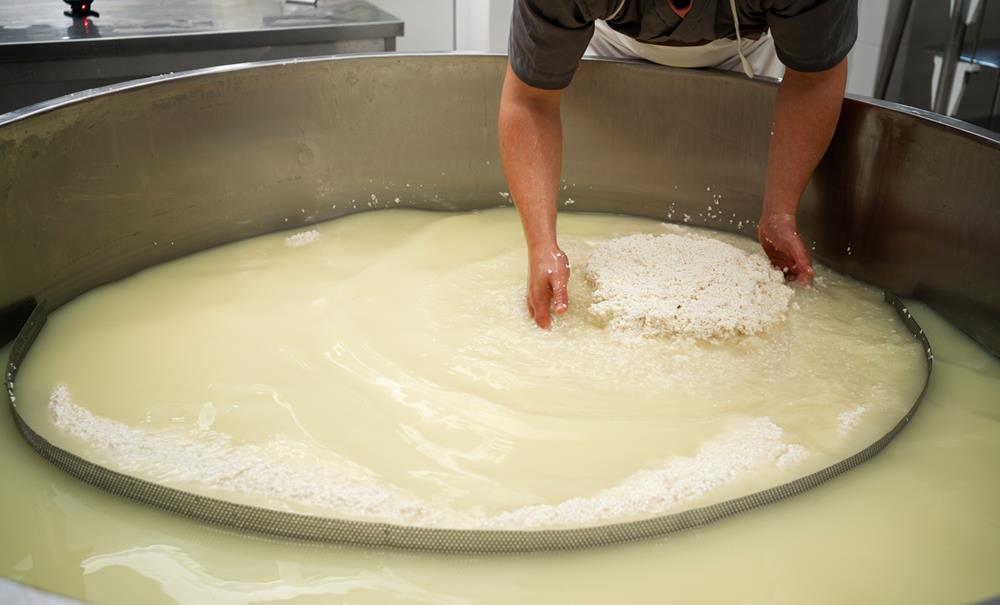 Whey Separation and Draining