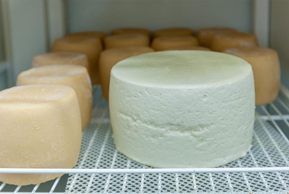 A variety of cheese on a fridge