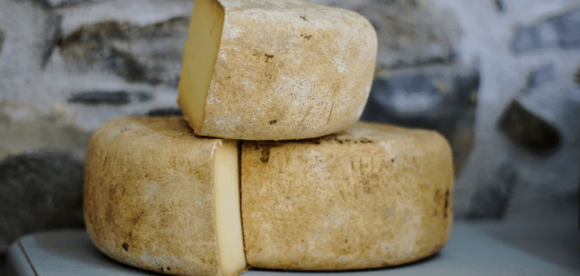 4 Cheese you can eat during your weight loss journey
