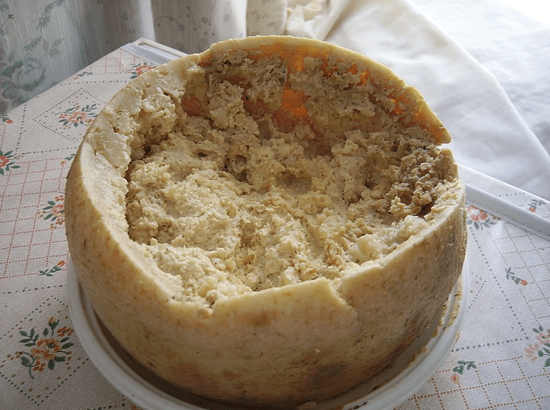 Casu Marzu cheese made in Sardinia