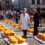 Cheese Festivals All Over The World