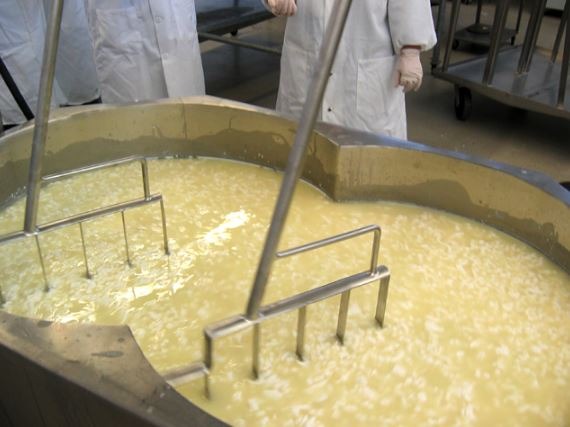 cooking of curds during cheddar manufacturing