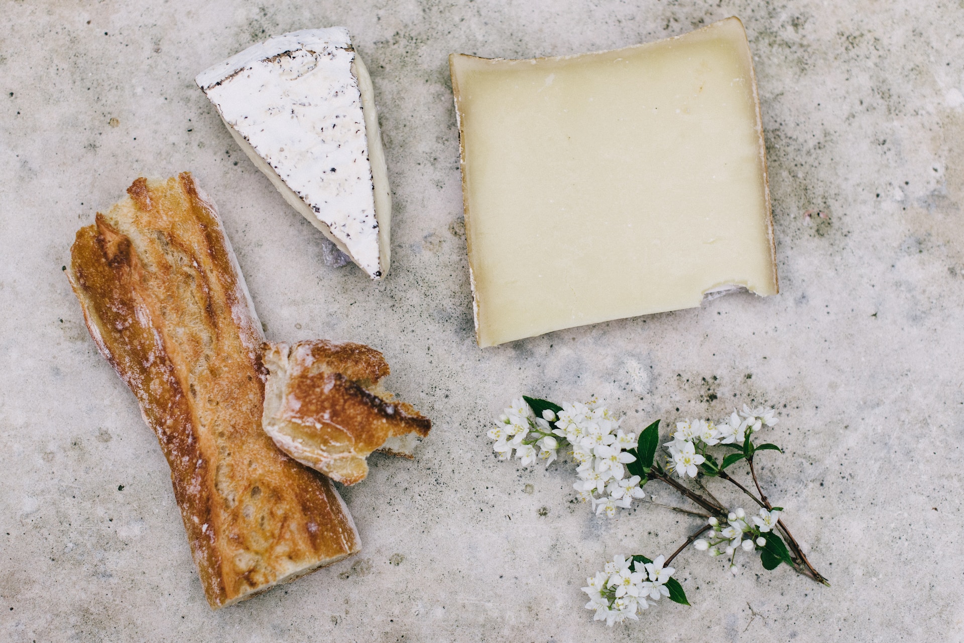 cheese, health images, flower images, toast, recipe, picnic, French, travel images, food shot, adventure, plant, free images