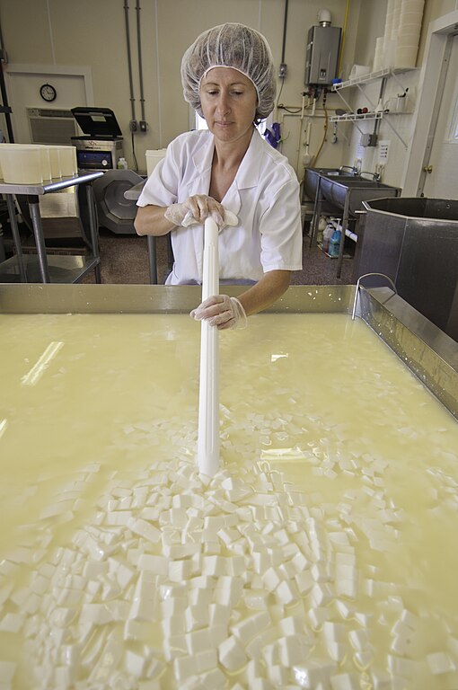 The Craft of Cheesemaking